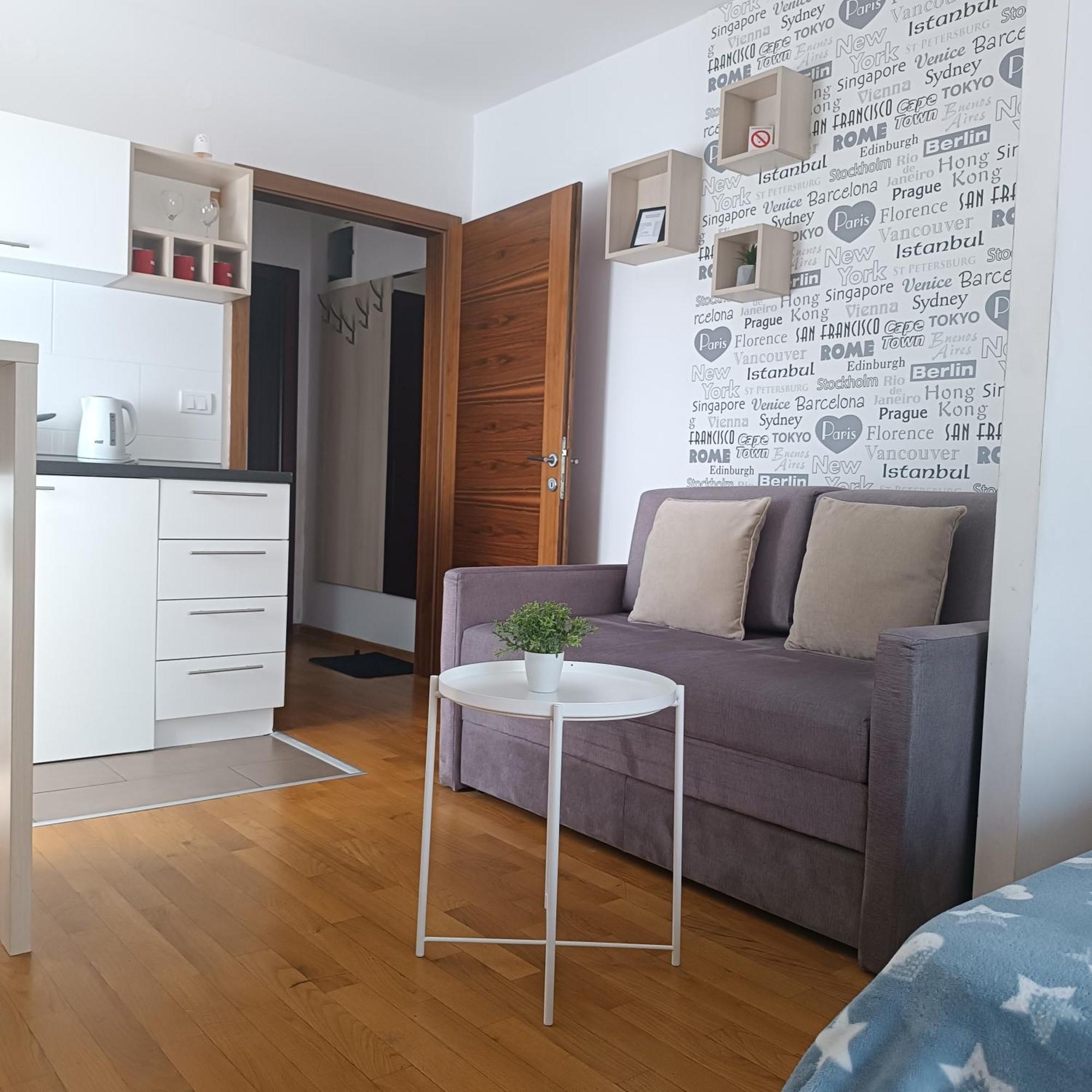 Apartments Karamarkovic Vrnjačka Banja Cameră foto